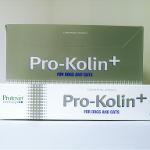 Buy PROTEXIN PRO KOLIN (DOG) 30ML online