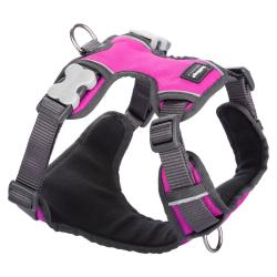 Buy Red Dingo Padded Dog Harness - Hot Pink - Various Sizes online