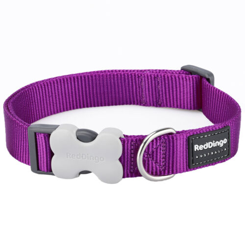 Buy Red Dingo Classic Dog Collar - Purple - Various Sizes online