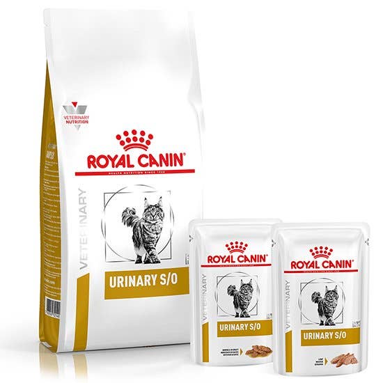 Buy Royal Canin Urinary S/O Veterinary Health Nutrition Cat Food 1.5kg online