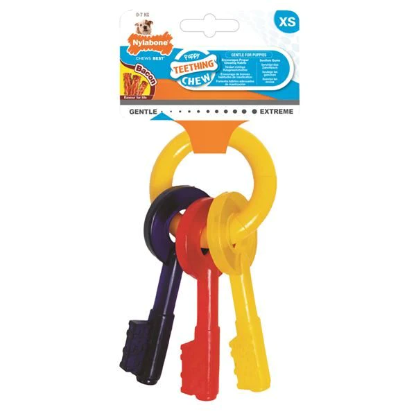 Buy Nylabone Puppy Teething Keys Chew Toy online