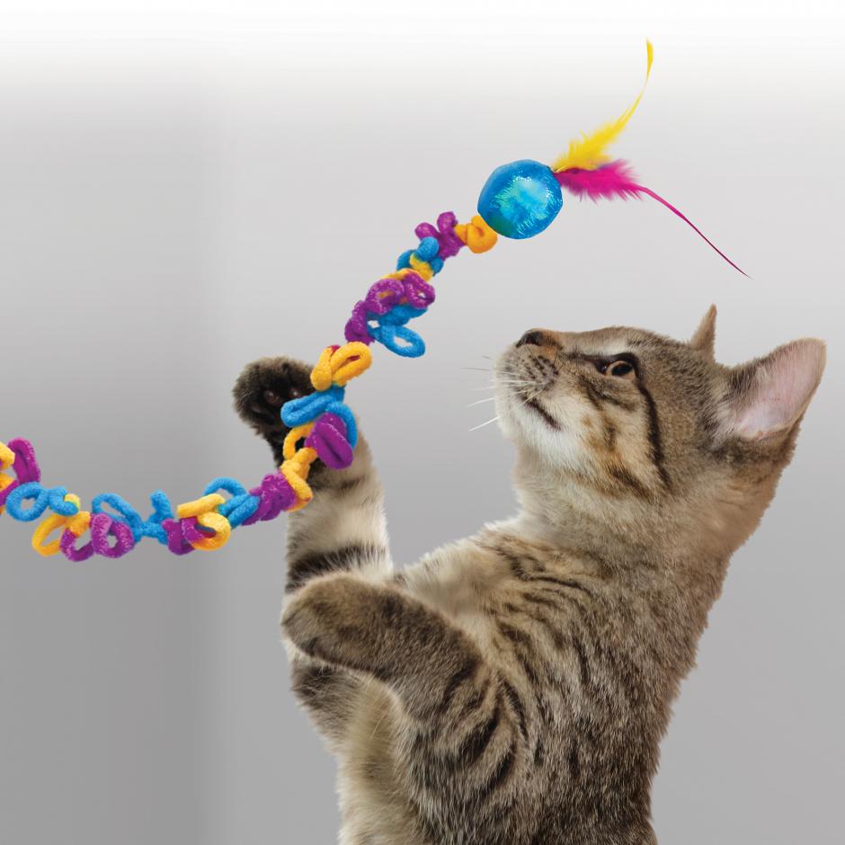 Buy KONG Cat Toy Teaser Loopz online