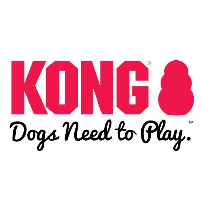 Buy KONG AirDog Squeakair Oval Ball for Dogs online