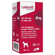 Buy Galliprant tablets for dogs, pk30 online