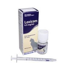 Buy Loxicom 0.5 mg/ml Oral Suspension for Cats, 5ml online