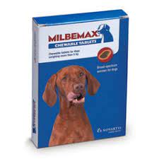 Buy Milbemax chewable tablets for dogs and puppies, pk4 online