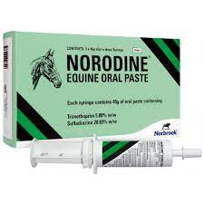 Buy Norodine Equine Oral Paste, pk3 online