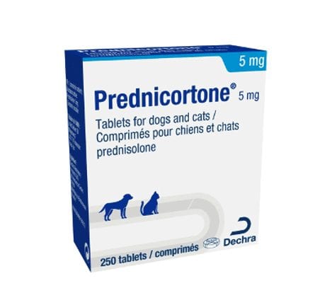 Buy Prednicortone® 5 mg Tablets for Dogs and Cats, pk250 online