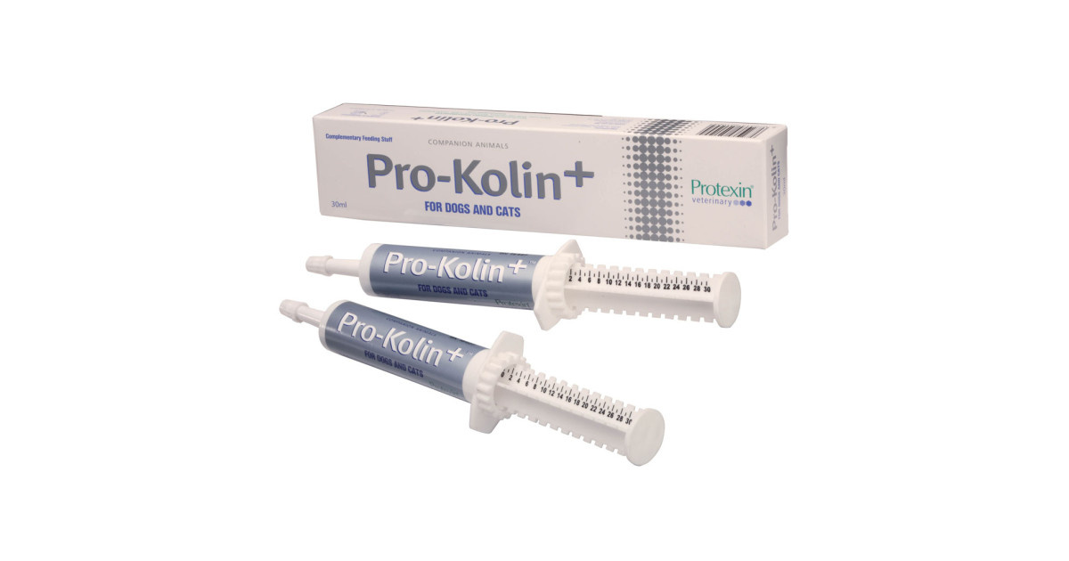 Buy Protexin Pro-Kolin Paste for Dogs, pk20 online