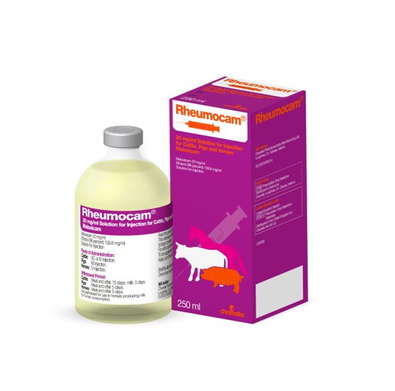 Buy Rheumocam 20mg/ml Solution for Injection for Cattle, Pigs and Horses, 50ml online