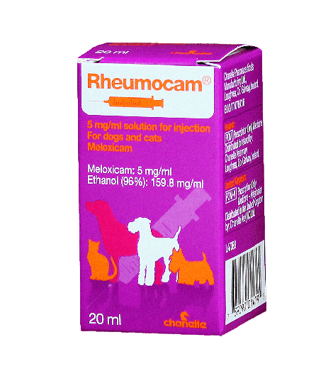 Buy Rheumocam 5mg/ml Solution for Injection for Cats and Dogs, 10ml online