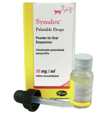 Buy Synulox Palatable Drops, Powder for Oral Suspension, 15ml online