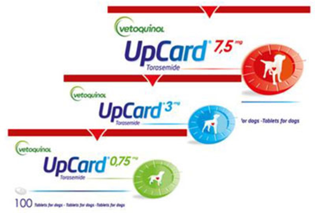 Buy Upcard for dogs, pk100 online