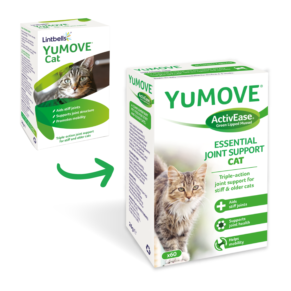 Buy YuMOVE Joint Care for Cats, pk60 online