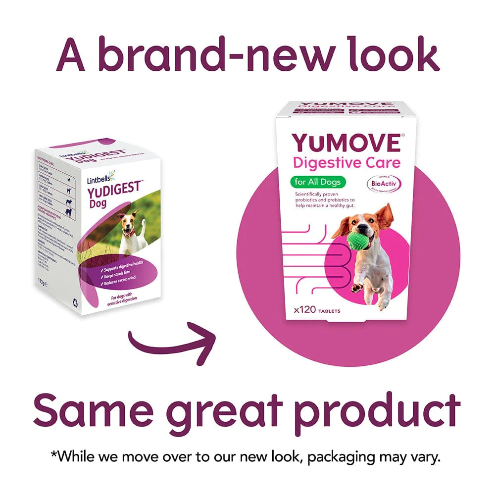 Buy YuMove Digestive tablets, pk300 online