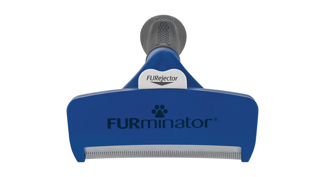 Buy FURminator Dog, Large, Short Hair online