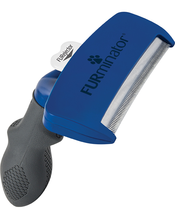 Buy FURminator Dog, Large, Short Hair online