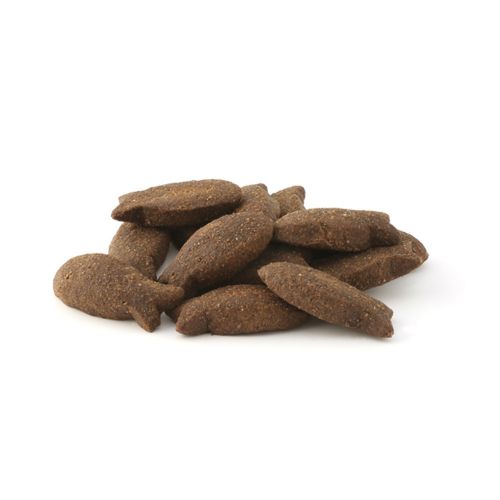 Buy Fish4Dogs Skin & Coat Mackeral Morsels, 225g online