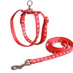 Awesome Product Image