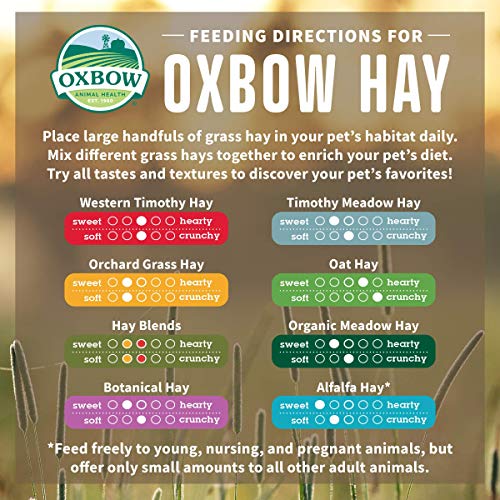 Buy Oxbow Orchard Grass 4.05kg online