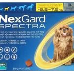 Buy NEXGARD SPECTRA TAB SML DOG 4-19MG online