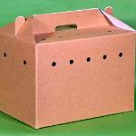 Buy CARDBOARD CAT CARRIER CATAC online